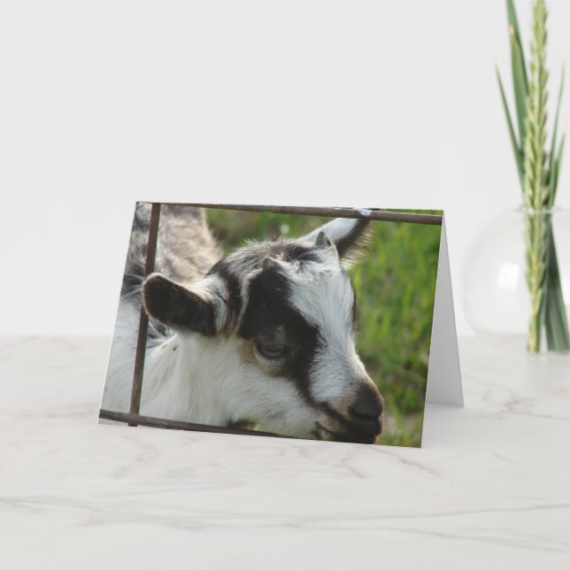 Shamrock Card (Front)