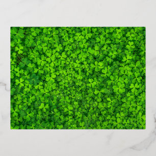 Shamrock green, St. Patrick's Day, Foil Holiday Postcard