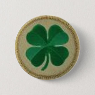 shamrock pin