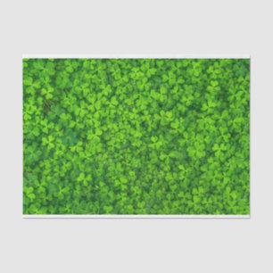 Shamrocks Clover Leaves St. Patrick's Day Festive Tissue Paper