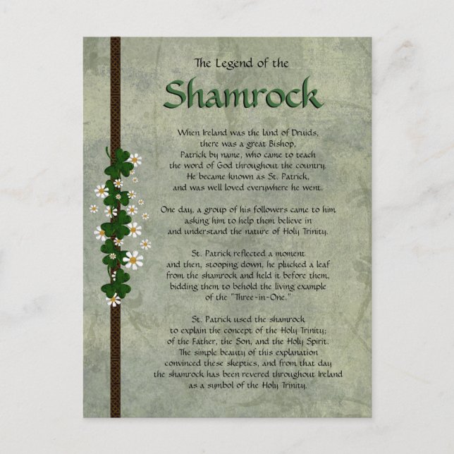 Shamrocks Postcard (Front)