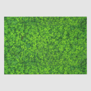 Shamrocks Tissue Paper
