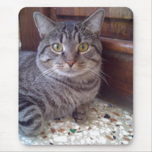 Shangel Mouse Pad