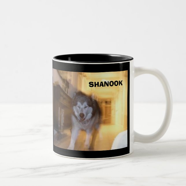 SHANOOK Two-Tone COFFEE MUG (Right)