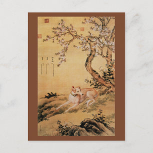 Shanxing Wolf ~睒星狼~Greyhound ~Giuseppe Casti Postcard