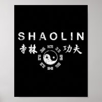Shaolin Kung Fu Chinese Martial Arts