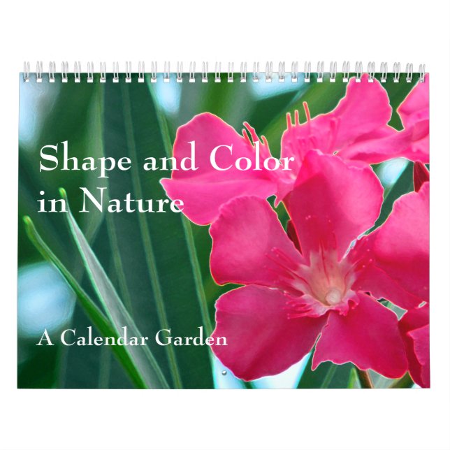 Shape and Colour in Nature Calendar (Cover)