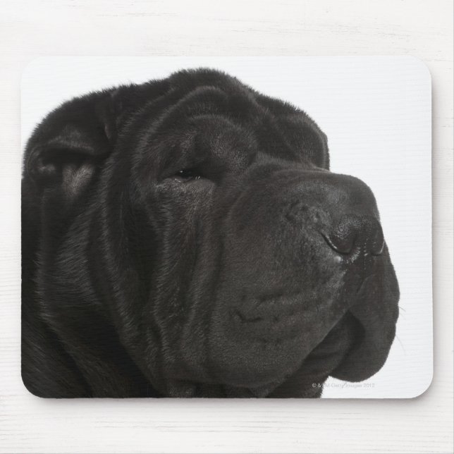 Shar Pei (1 year old) close-up Mouse Pad (Front)