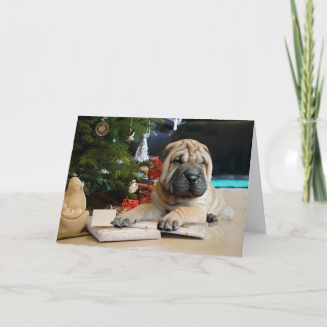 Shar Pei Christmas Card (Front)