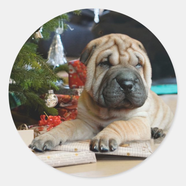 Shar Pei Christmas Classic Round Sticker (Front)
