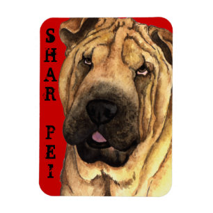 Shar-Pei Colour Block Magnet