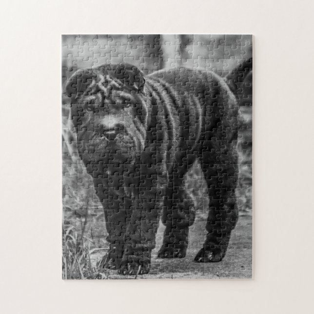 SHAR PEI CUTE DOG JIGSAW PUZZLE (Vertical)