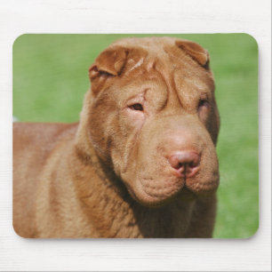 Shar Pei Mouse Pad