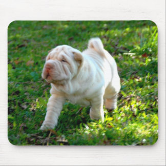 Shar-pei Mouse Pad