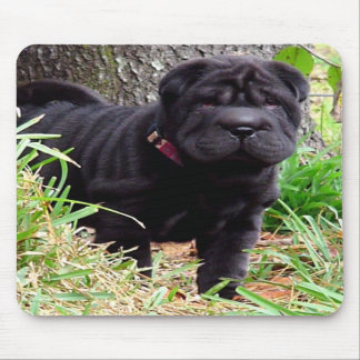 Shar-pei Mouse Pad