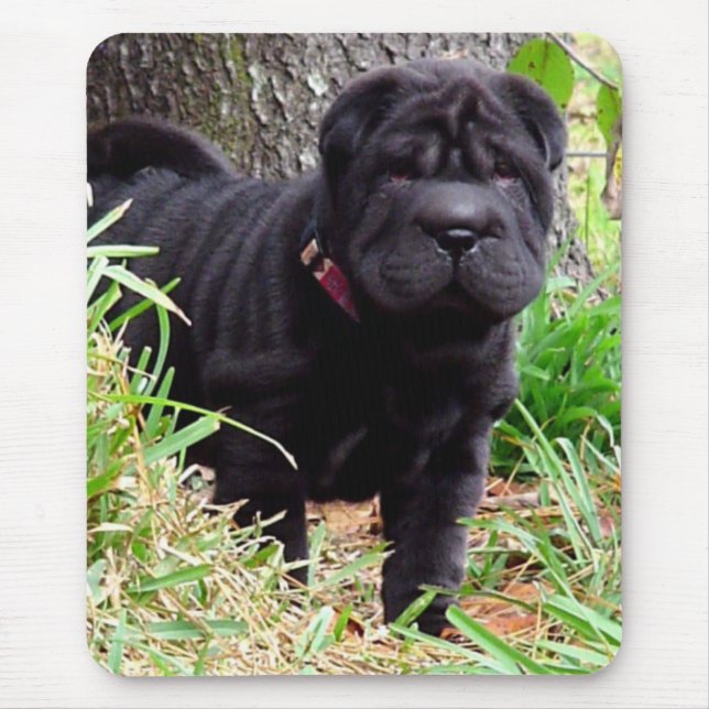 Shar-pei Mouse Pad (Front)