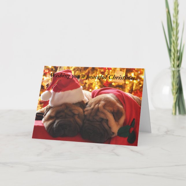 Shar Pei Peaceful Christmas Holiday Card (Front)