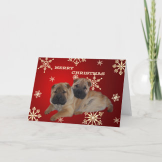Shar Pei Puppies Snowflake card