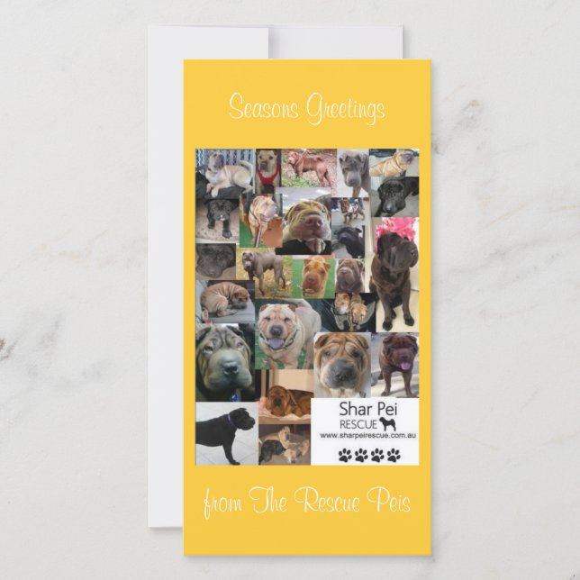 Shar Pei Rescue Xmas Card (Front)