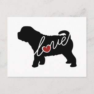 Shar Pei (Sharpei) Postcard