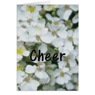 Share Cheer with Others