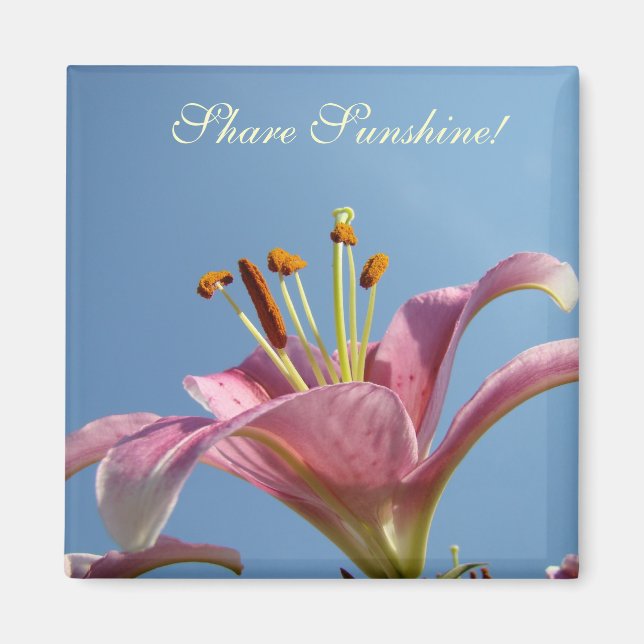 Share Sunshine! Magnet Pink Calla Lilies Blue Sky (Front)
