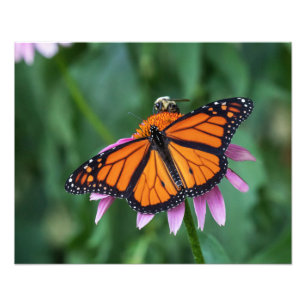 Sharing A Meal Photo Print