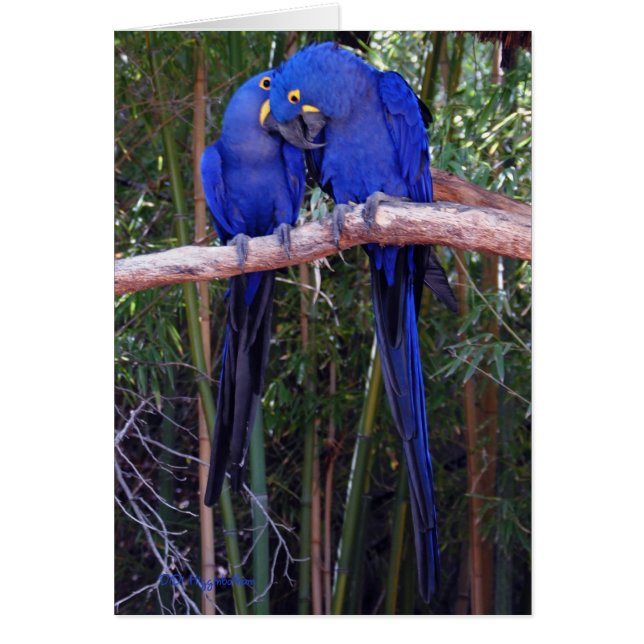 Sharing Secrets (Front)