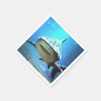 shark-5.jpg napkin