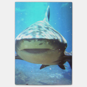shark-5.jpg post-it notes