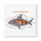 Shark Anatomy