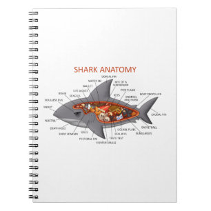 Shark Anatomy Spiral Notebook
