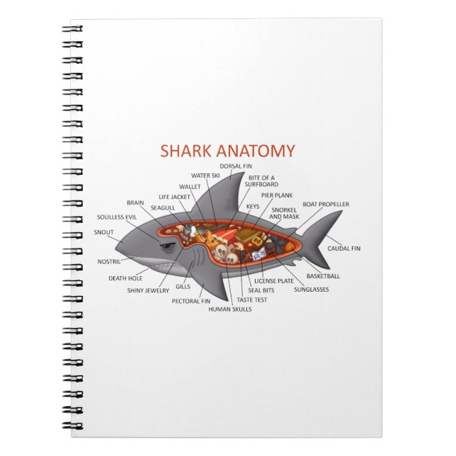 Shark Anatomy Spiral Notebook (Front)