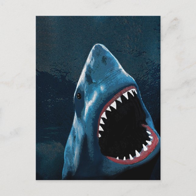 Shark attack postcard (Front)