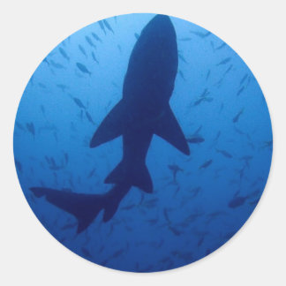 Shark Attack Stickers