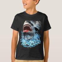 Shark Attack!