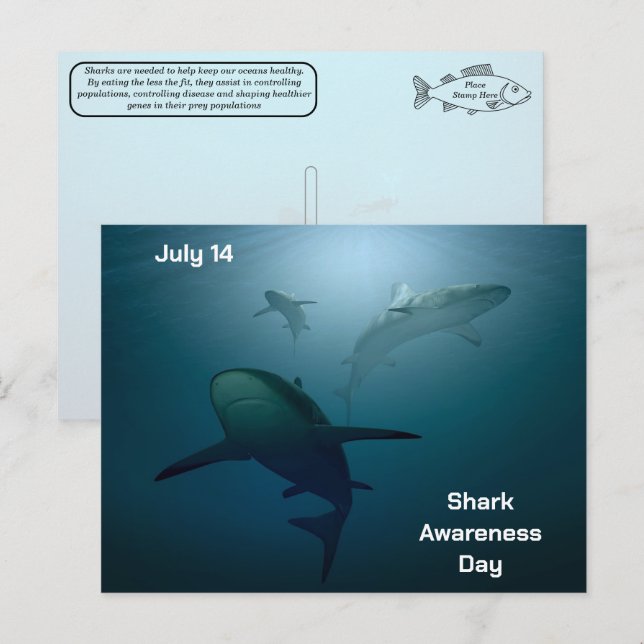 Shark Awareness Day - July 14 - Postcard (Front/Back)