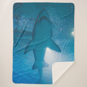SHARK BELLY SHERPA BLANKET