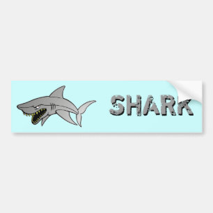 Shark Bumper Sticker