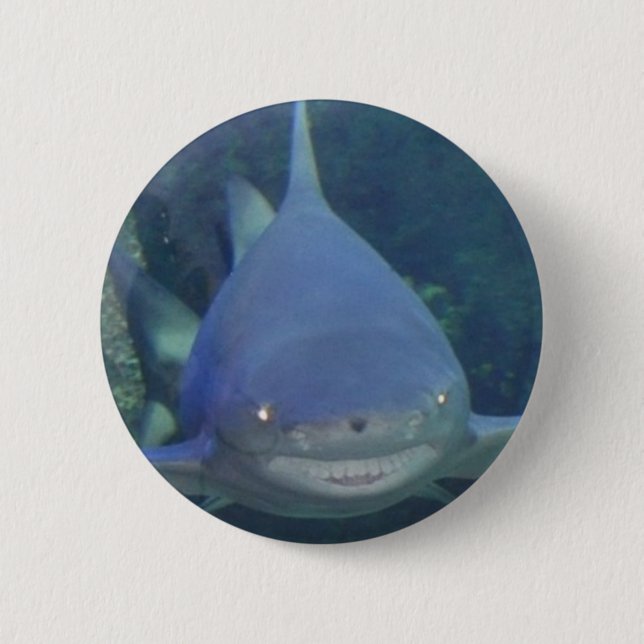 Shark Button (Front)