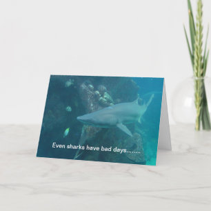 Shark Card