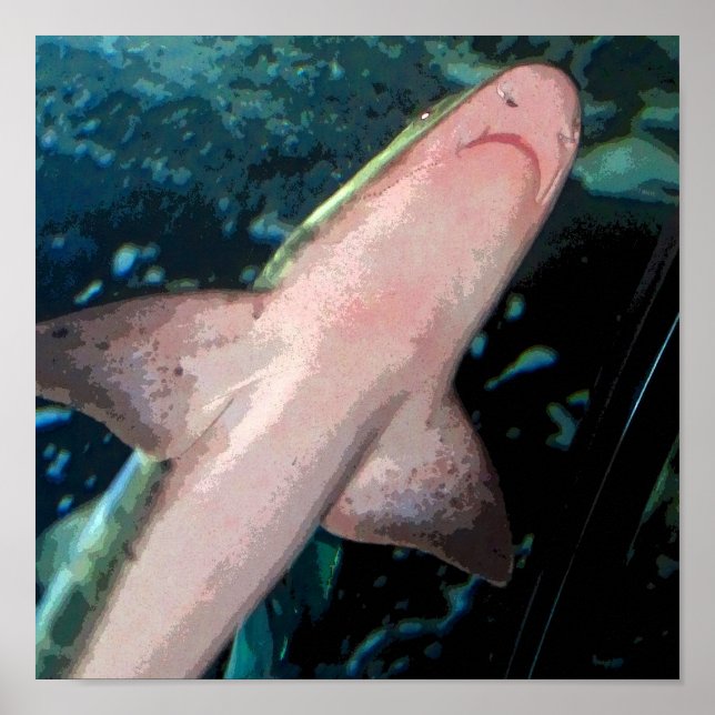 Shark CB Poster (Front)