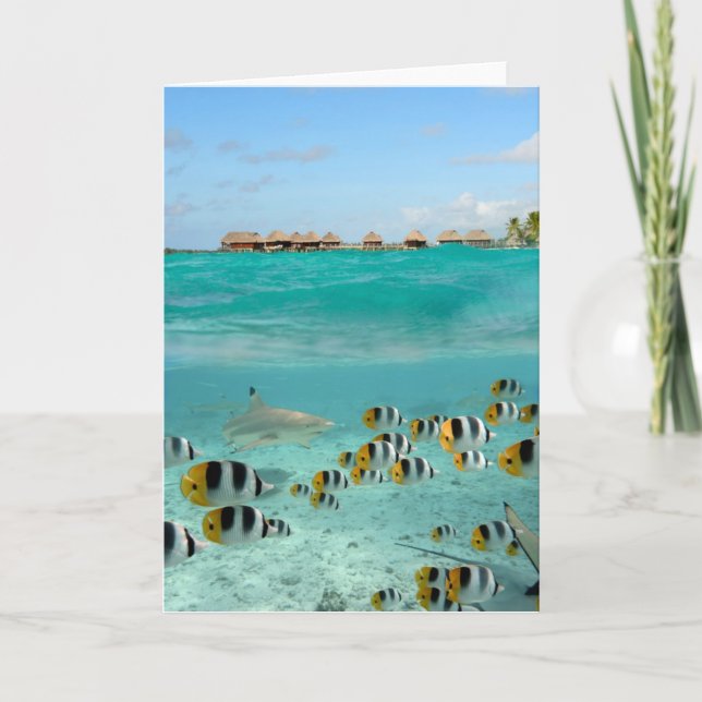 Shark chasing butterfly fish greeting card (Front)