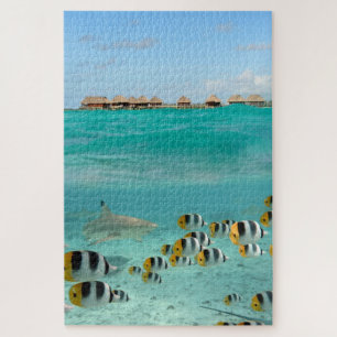 Shark chasing fish in tropical Bora Bora lagoon Jigsaw Puzzle