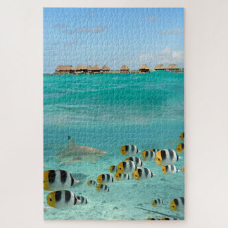 Shark chasing fish in tropical Bora Bora lagoon Jigsaw Puzzle
