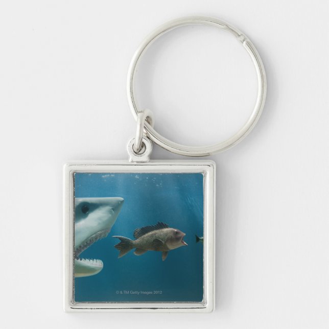 Shark chasing sea bass chasing juvenile key ring (Front)
