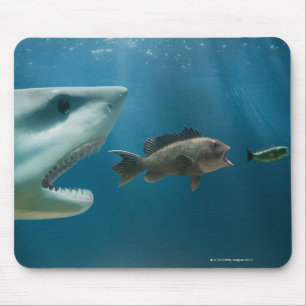 Shark chasing sea bass chasing juvenile mouse pad