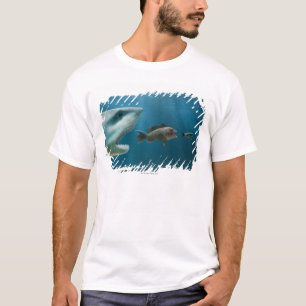 Shark chasing sea bass chasing juvenile T-Shirt