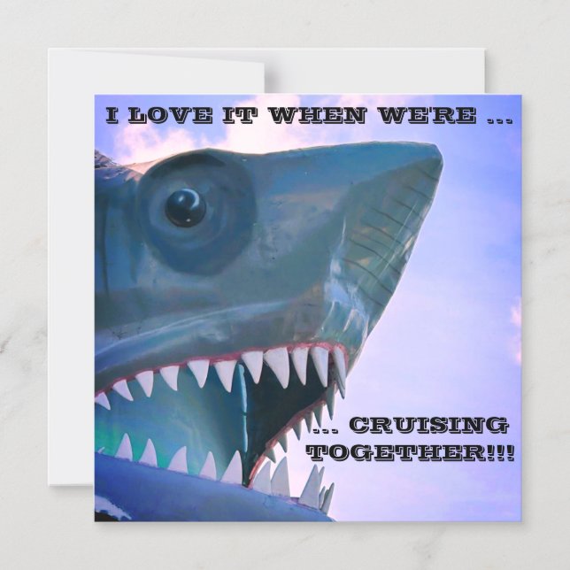 SHARK CRUISE DOOR MAGNET (Front)