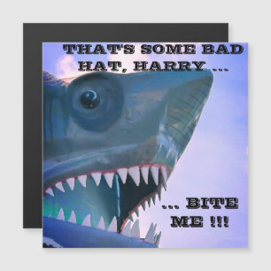 SHARK CRUISE DOOR MAGNET